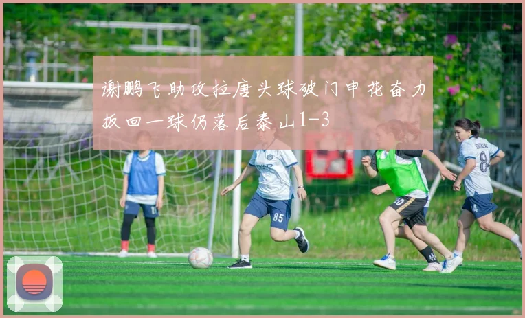 谢鹏飞助攻拉唐头球破门申花奋力扳回一球仍落后泰山1-3