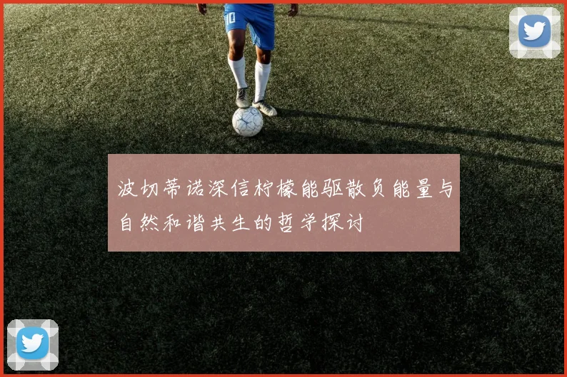 波切蒂诺深信柠檬能驱散负能量与自然和谐共生的哲学探讨