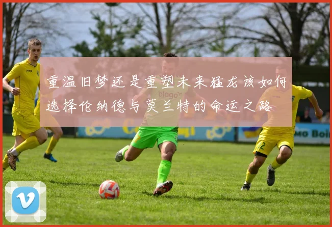 重温旧梦还是重塑未来猛龙该如何选择伦纳德与莫兰特的命运之路